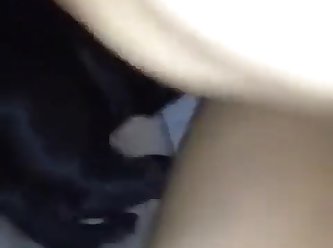Animal Porn Cock