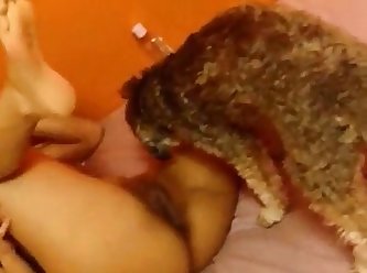 Girl With Animal Sex Porn