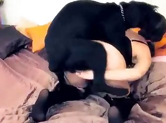 Animal Sex Porn