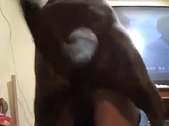 Animal Sex Porn 3d