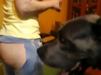 Pissing On Animal Porn