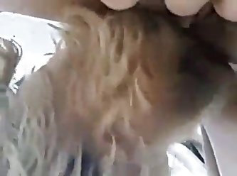 Young Redhead Delights With Dog Porn After Having The Animal Sniffing Her Cunt