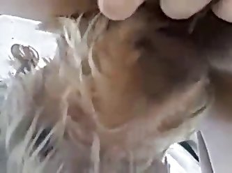 Young Redhead Delights With Dog Porn After Having The Animal Sniffing Her Cunt