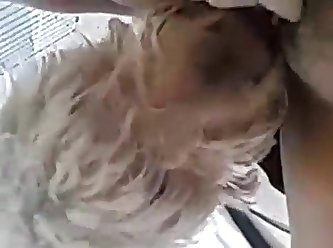 Young Redhead Delights With Dog Porn After Having The Animal Sniffing Her Cunt