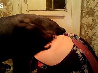 Zoophilia Porn Torrents