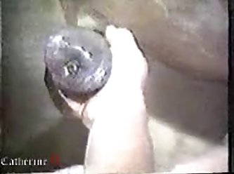 Zoo Tube Horse