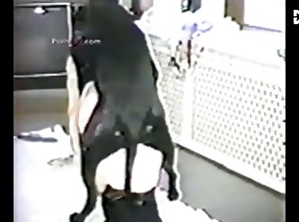 Zoophilia Porn Videos