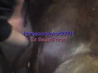 Zoophilia Porn Lux