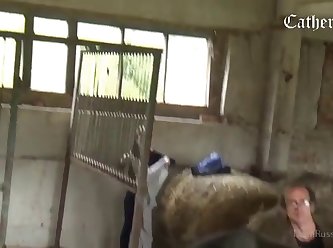 Tick Zoo Tube