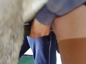 Fortnite Zoophilia Porn
