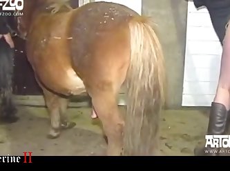 Zoo Tube Gif