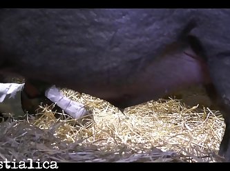 Www Zoo Sex .com