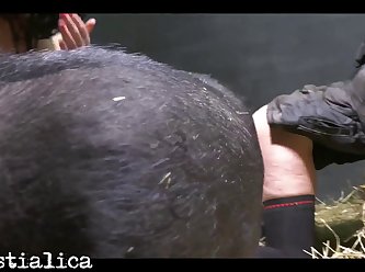 Hidden Zoo Sex