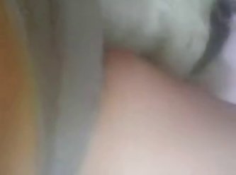 Tickzoo .com Latest
