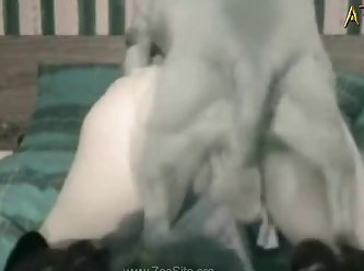 Besando A Mi Perro Zoofilia