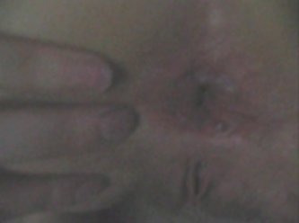 Zoofilia Porno Twitter