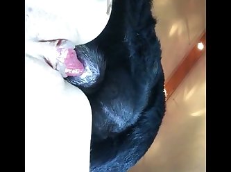 Gay Zoofilia Video