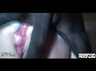 Zoofilia Mujeres Con Pony