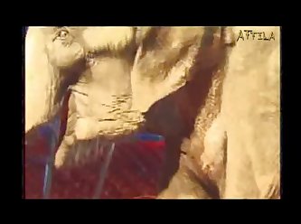 Pig Anal Zoofilia