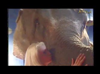 Pig Anal Zoofilia