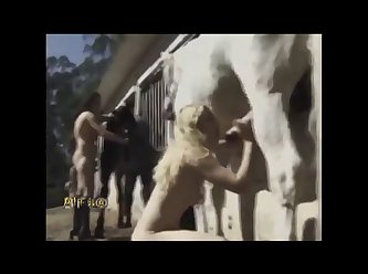 Cavalo Zoofilia