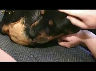 Teen Zoofilia Videos