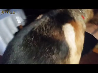 Extreme Streets Full Video Porn