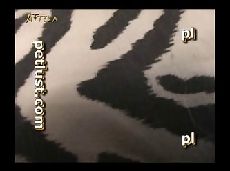 Extreme Aggressive Porn