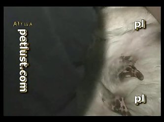 Extreme Ball Torture Porn