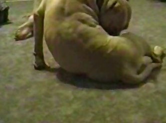 Porn Extreme Facials