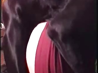 Hillary Scott Extreme Porn