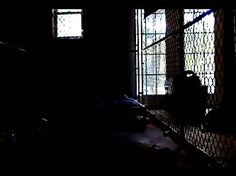 Extreme Animal Porn Vids