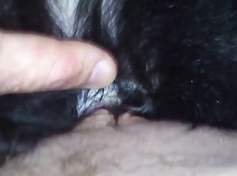 Extreme Disgrace Porn
