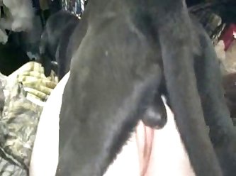 Isabelle Extreme Porn