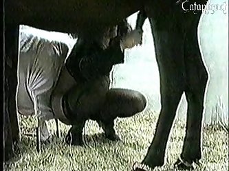 Hd Extreme Animal Black Porn