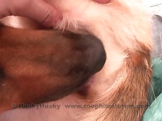 Ryan Meadows Extreme Porn