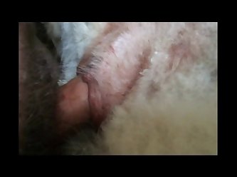 Extreme Porn Tv