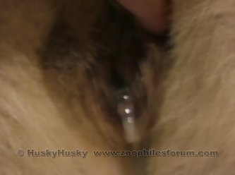 Extreme Cumshots Porn