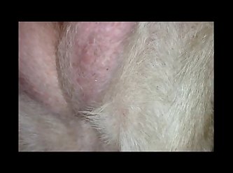 Sindy Rose Extreme Porn