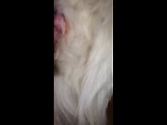Extreme Teen Porn Pics