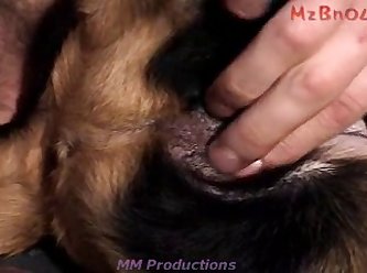 Girl Extreme Orgasm Porn