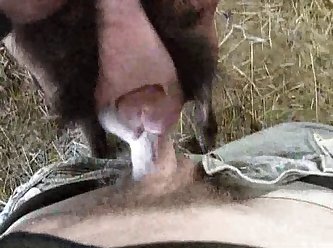 All Extreme Porn