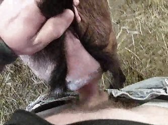 All Extreme Porn