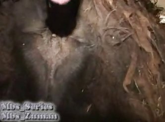 Porn Ebony Extreme