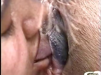 Animal Porn Extreme Slave