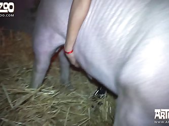 Extreme Anal Fist Porn