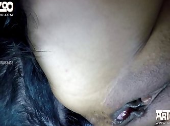 Creampie Extreme Porn