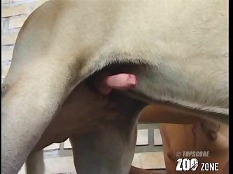 Pussy Pump Extreme Porn