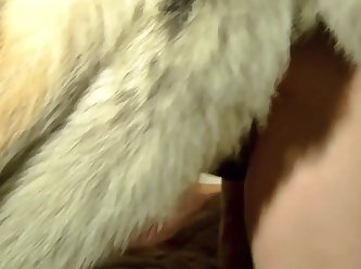 Extreme Animal Abuse Porn