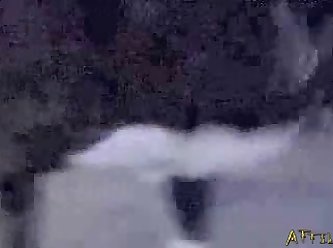 Loose Pussy Fucked